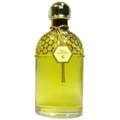 Aqua Allegoria Ylang & Vanille